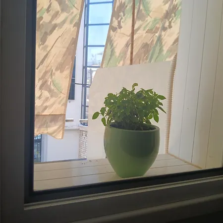 αγγελικη 公寓